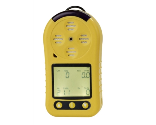 北京二合一气体检测报警仪检测